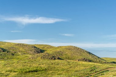 Kuzey ve güney yarımkürenin ılıman ve subtropikal bölgelerinde bozkır, bozkır, veld, veldt. Plato. Tepeler.