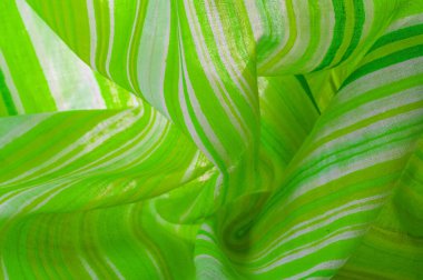 Doku, arkaplan, desen, yeşil çizgiler, pamuk kumaş, Mapudungun panço, battaniye, yün kumaş - bunlar vücudu sıcak tutmak için tasarlanmıştır..