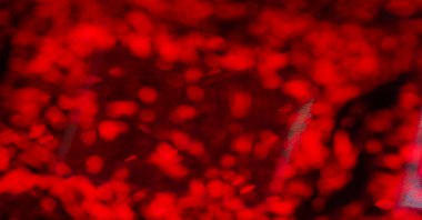 Renkli taşlardan gelen ışığın bulanık görüntüsü. Yoldan geçenler gece şehir caddesinde. Arka plan bulanık. Tasarım elemanı. Kitap kapağı. Sosyal ağlar. Web tasarımı. Duyuru.