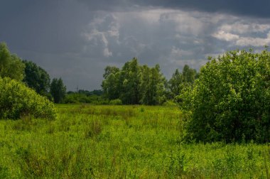 Yaz manzarası, gök gürültülü bulutlar, mavi gökyüzü, sel basmış çayır tarlaları, yaz renklerinin kokusu ve çeşitli kır çiçekleri.