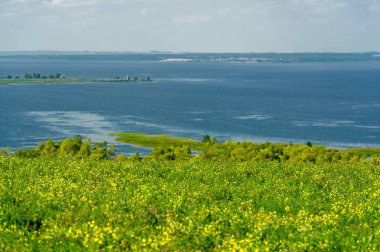 Yaz manzarası. Dünyanın Avrupa bölgesindeki bir nehir. Güneşli sıcak bir gün. Yeşil ağaçlar, çimenler. Mavi gökyüzü küçük bir bulut örtüsüyle.