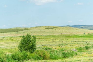 Steppe, Prairie - Dünyanın en büyük bozkır bölgesi olan Büyük Steppe, Doğu Avrupa ve Orta Asya 'nın yanı sıra komşu ülkeler Kazakistan' da bulunur.