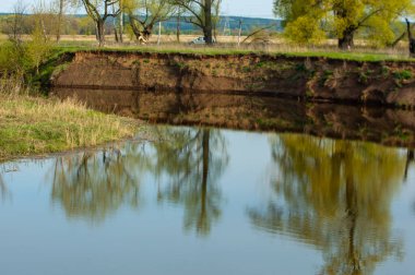 The river in the spring. a tributary is a small stream that flows into a large river. Spring buds colorful on trees