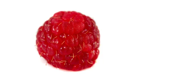 라즈베리 Raspberry Rubus 의먹을 수있는 과일이다 라즈베리 비타민 섬유의 공급원이다 — 스톡 사진