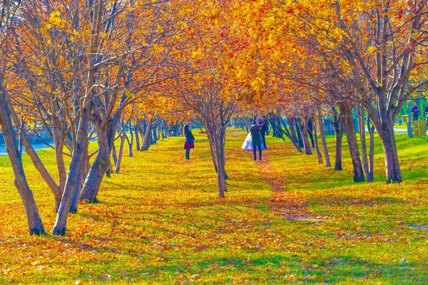 Paysage Automne Croquis Automne Sur Photo Feuilles Jaunes Bordeaux Rouges — Photo