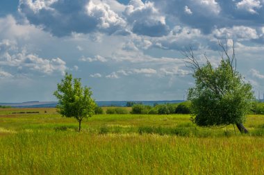 Yaz manzarası, gök gürültülü bulutlar, mavi gökyüzü, sel basmış çayır tarlaları, yaz renklerinin kokusu ve çeşitli kır çiçekleri.