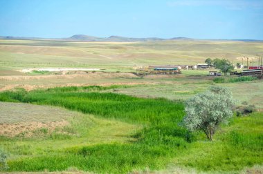 steppe, prairie, veld, veldt are ecosystems that ecologists consider to be part of the biome of grasslands, savannas and shrubs with a temperate climate, based on a similar temperate climate