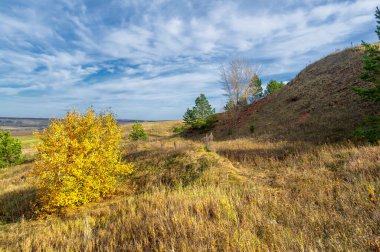 Birch, oaks, linden, maples, dressed in multi-colored yellow orange-red leaves. blue sky with fluffy white clouds. Autumn landscape photography, the European part of the Earth.