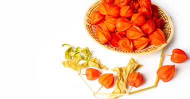 Physalis sidik torbası kirazı, Çin feneri, Japon feneri, Çilek Çileği, Japonya, parlak ve fener benzeri meyve kapları Bon festivalinin geleneksel bir bölümünü oluşturur.