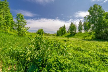 Spring photography, landscape with a cloudy sky. water meadows, floodplains, ravines. an area of low lying ground adjacent to a river, formed mainly of river sediments and subject to flooding.