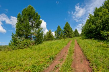 Yaz fotoğrafları, tepeler, tepeler, huş ağaçları dağların yamaçlarında yetişir. Yamaç boyunca dönen toprak bir yol, sıcak yaz günleri.