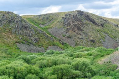 Çayırlık, bozkır ekosistemi, çayırlık, savana ve çalı biyologlarına göre, benzer ılıman bir iklime, ılımlı yağış ve çimen bileşimine dayanan bir çalı biyomu.,