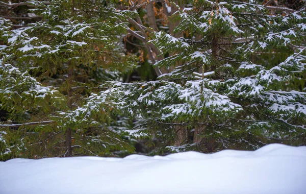 Snow Texture Snow Consists Individual Ice Crystals Grow Suspended Atmosphere — ストック写真