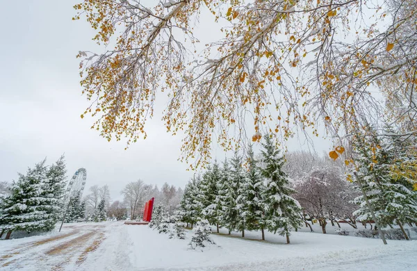 最初の雪だ 秋のスケールごとに 空からユニークな興味の火花が落ちる 星が暗い木々を満たすように落ちました 誰もが簡単にそれが唯一の美しい理由を想像することができました — ストック写真