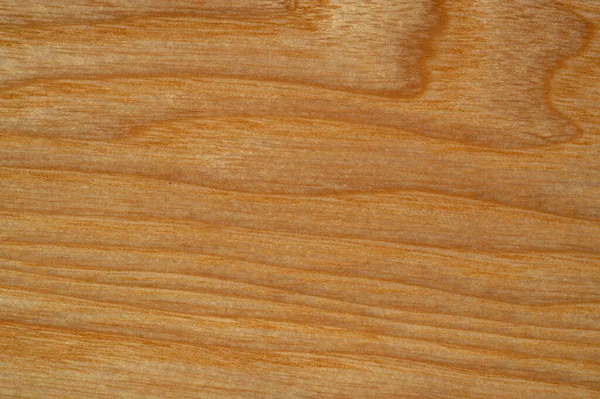 Rovere Massello Frassino Verniciato Verniciato Tavole Quercia Frassino Bellissimi Pannelli — Foto Stock