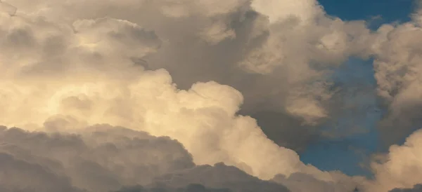 野生动物摄影 积雨云是具有平坦基底的云 通常被描述为浮肿 棉花状或毛茸茸的云 — 图库照片