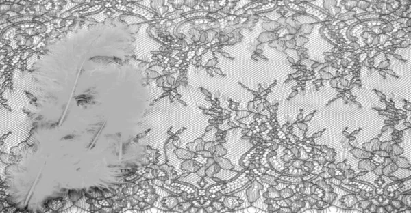Black Lace Fabric White Background Fancy African Polyester Tulle Lace — Stock Photo, Image