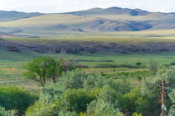 Steppe Prairie Veld Veldt Ecosystems Ecologists Consider Part Biome Grasslands — Photo