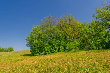 Bahar fotoğrafçılığı, çayır tarlaları, ağaçlar, tepeler ve vadiler, bulutlu bir gökyüzünde parlak güneş.