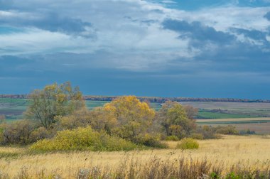 Fall. The valley was touched by the rising morning sun in beautiful autumn colors - landscape photography. Beautiful dramatic sky on a gorgeous autumn day. Serene nature background