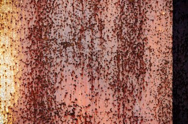 Metal üstüne pas. Doku, arka plan, desen. Demir su ve oksijenle temas ettiğinde paslanır. Deniz suyu veya tuz spreyi gibi tuz varsa, demir daha hızlı paslanma eğilimindedir..