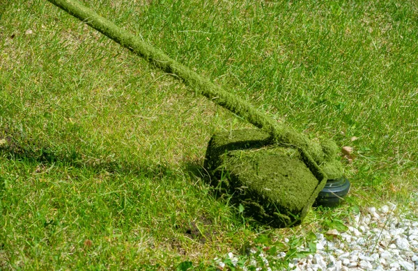 Process Mowing Lawn Hand Mower Worker Mows Tall Grass Electric — Fotografia de Stock