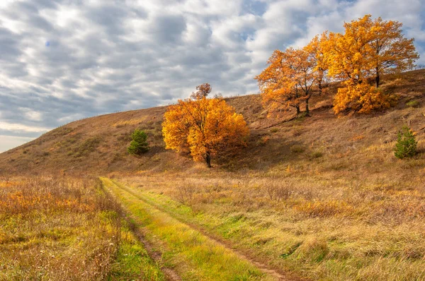 Lautumn Perfect Time Spend Time Outdoors Recharge Trees Very Old — Fotografia de Stock