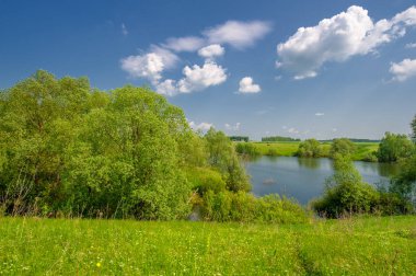 Bahar fotoğrafı, söğüt ağacı, parlak yeşillik, bulutlu mavi gökyüzü, harika bahar havası.