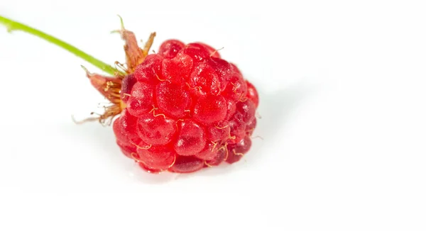 Raspberry Edible Soft Fruit Akin Blackberries Consisting Cluster Reddish Pink — Stock Photo, Image