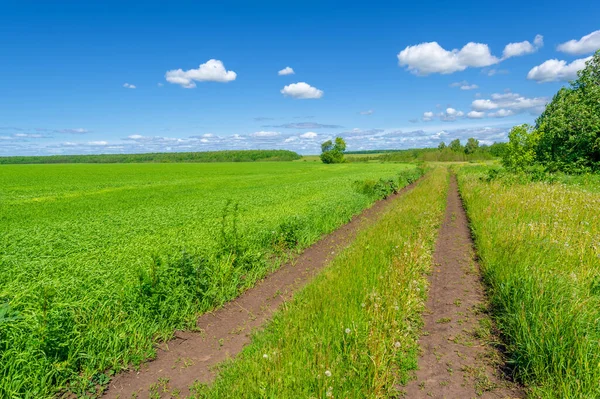 İlkbahar fotoğrafçılığı, manzara, toprak yol ya da dünyanın içinden geçtiği yol.
