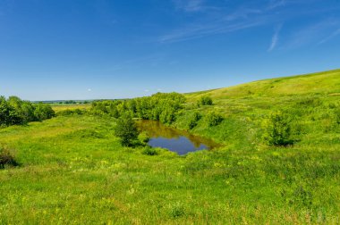 Yaz manzarası, bunaltıcı yaz günleri, ılık suyla dolu bir göl, ılık kuzey yarımkürede yaşayan fındık ağacı. Çalılar