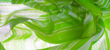 Doku, arkaplan, desen, yeşil çizgiler, pamuk kumaş, Mapudungun panço, battaniye, yün kumaş - bunlar vücudu sıcak tutmak için tasarlanmıştır..