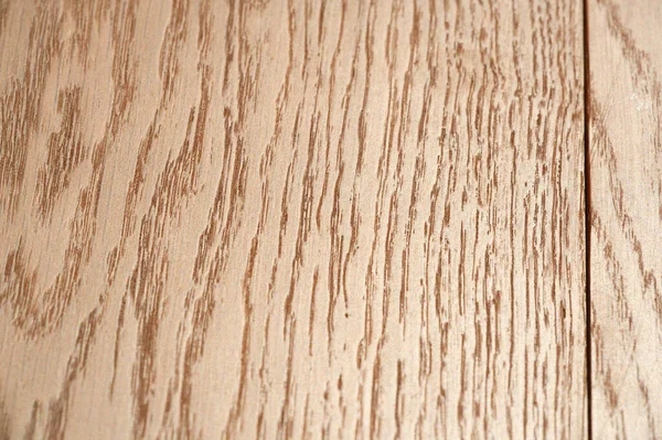 Solid oak and ash, varnished or varnished. Oak and ash boards. Beautiful lacquered panels. Wood texture with natural patterns. Very high resolution photo. Texture Background Pattern