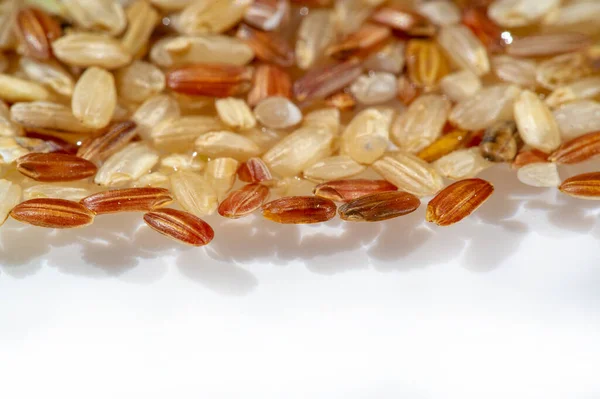 Rice Phoenix Golden Phoenix Rice Seeds Symbol Eternal Renewal Immortality — Stock Photo, Image