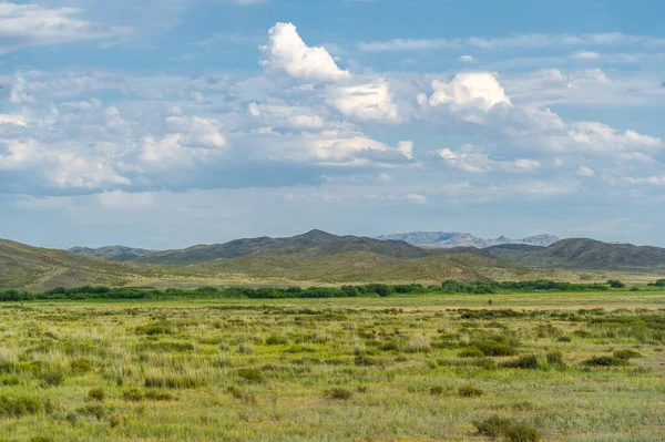 Steppe Prairie Veld Veldt Steppe Can Semi Arid Covered Grass — Foto de Stock