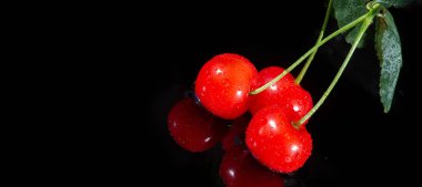 cherries, merry. cherries provide low nutrient content per 100 g serving, as only dietary fiber and vitamin C are present in moderation
