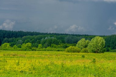Yaz manzarası, gök gürültülü bulutlar, mavi gökyüzü, sel basmış çayır tarlaları, yaz renklerinin kokusu ve çeşitli kır çiçekleri.