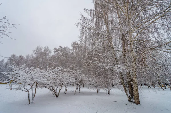 Schnee Ruft Reaktionen Hervor Die Bis Die Kindheit Zurückreichen Die — Stockfoto