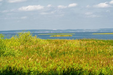 Yaz manzarası. Dünyanın Avrupa bölgesindeki bir nehir. Güneşli sıcak bir gün. Yeşil ağaçlar, çimenler. Mavi gökyüzü küçük bir bulut örtüsüyle.