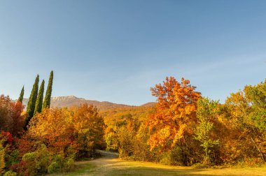 Kırım yarımadasının yüksek dağlarında, sonbahar kayın ormanlarında yürüyüş, fiziksel çabası olan insanlar için eğlence.