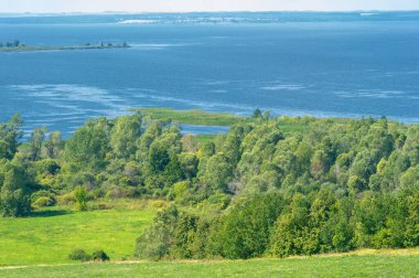 Yaz manzarası. Dünyanın Avrupa bölgesindeki bir nehir. Güneşli sıcak bir gün. Yeşil ağaçlar, çimenler. Mavi gökyüzü küçük bir bulut örtüsüyle.