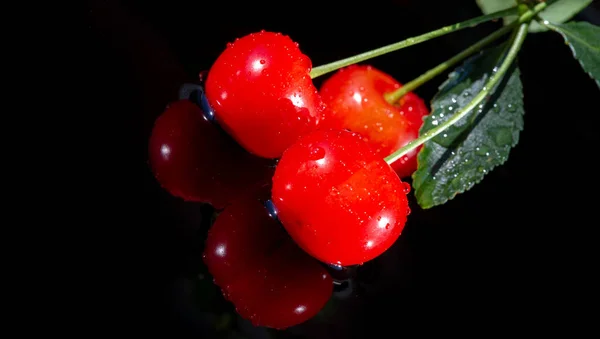 Cherries Merry Cherries Provide Low Nutrient Content 100 Serving Only — Stock Photo, Image