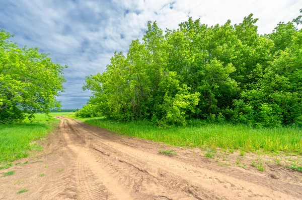 Spring Photography Rural Landscape Dirt Road Young Wheat Fields Wide Royalty Free Stock Images