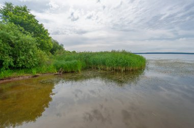 The floodplain of a large river is covered with green vegetation. Dirt road of local importance. Beautiful blue sky. Summer landscape photography. European part of the land. fields, meadows, ravines.