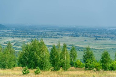Yaz fotoğrafı: Avrupa 'nın manzarası, çayır ağaçları sonbahar renklerine hazırlanıyor