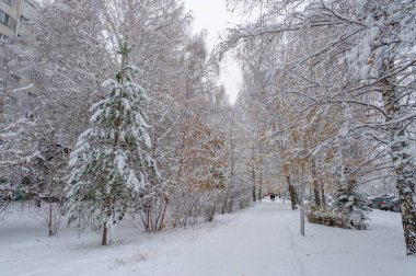 Kar, çocukluğuna kadar uzanan tepkilere neden olur. Bir kar tanesinin güzelliğini takdir etmek için, soğukta göze çarpman gerekir..