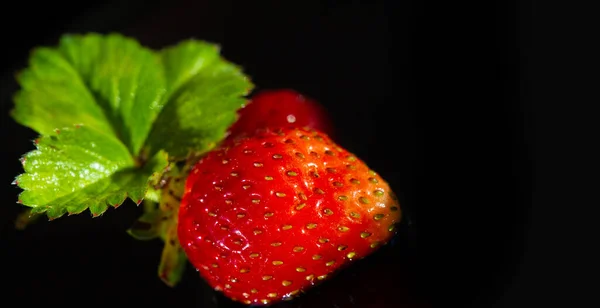 Garden Strawberry Simply Strawberry Fragaria Ananassa Consumed Large Quantities Either — стоковое фото