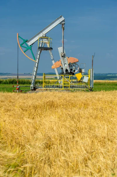 Wheat Field Pumpjack Rocker Overhead Drive Reciprocating Piston Pump Oil — Stock Photo, Image