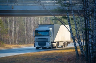 Nakliye aracı. LTL (kısmi yük), PTL (kısmi yük) veya FTL (tam kamyon yükü) gibi standart hizmetlerden yüksek güvenlikli Rusya Chelny 05 11 2020