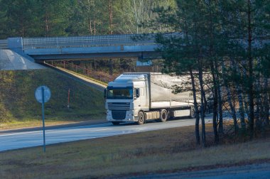 Nakliye aracı. LTL (kısmi yük), PTL (kısmi yük) veya FTL (tam kamyon yükü) gibi standart hizmetlerden yüksek güvenlikli Rusya Chelny 05 11 2020